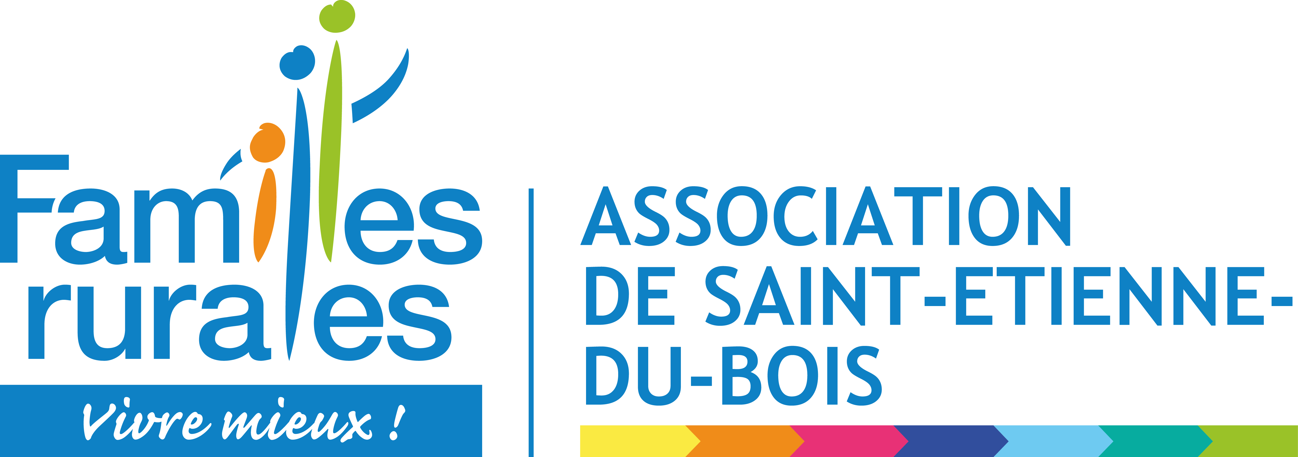 Logo Saint Etienne Bois